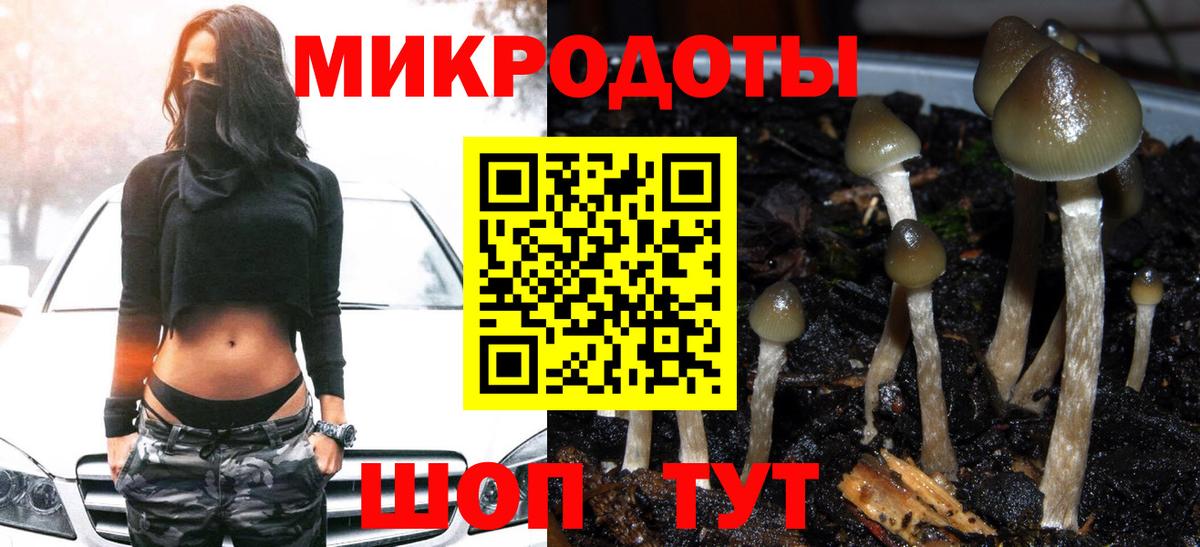 Псилоцибиновые грибы Magic Shrooms Павловский Посад